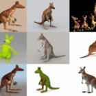 Samling av 10 realistiska kängurufria 3D-modeller