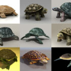 10 realistických želv zdarma 3D modely kolekce