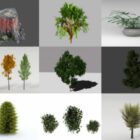 12 شجرة واقعية مجانية Blender نماذج ثلاثية الأبعاد - الأسبوع 3-2020