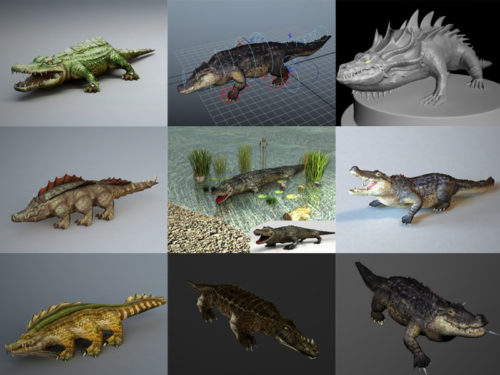 15 Crocodile 3D Models Collection