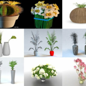 15 bezplatných 3D modelů v květináčích - týden 2020-39