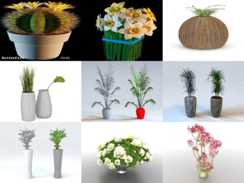 15 Potted Plant Free 3D Models – Week 2020-39