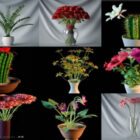 15 زهرة واقعية بوعاء مجموعة نماذج ثلاثية الأبعاد مجانية