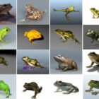 16 realistista sammakkoa ilmaista 3D-mallikokoelmaa