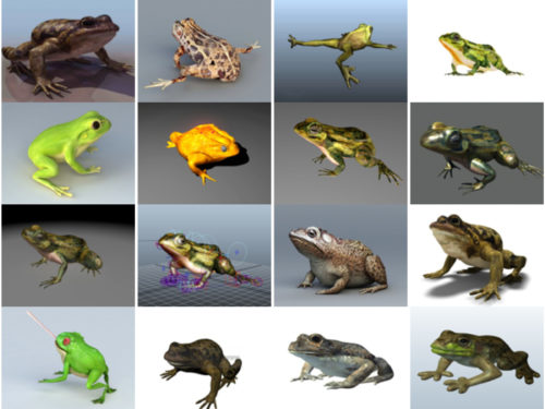 16 Realistic Frog Free 3D Models Collection