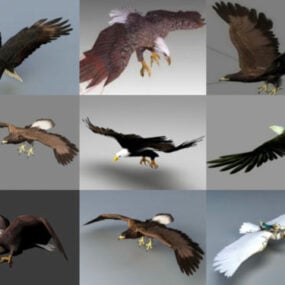 20 Realistic Eagle 3D Modeller Collection