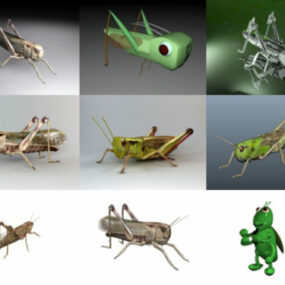 10 parasta heinäsirkkojen ilmaista 3D-mallikokoelmaa