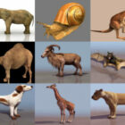 12 najlepszych modeli 3D bez zwierząt - tydzień 2020-39
