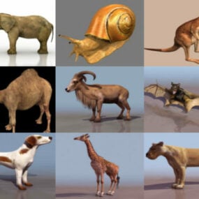 Top 12 des modèles 3D sans animaux - Semaine 2020-39