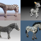 Top 5 Zebra Gratis 3D-modellen - Week 2020-39
