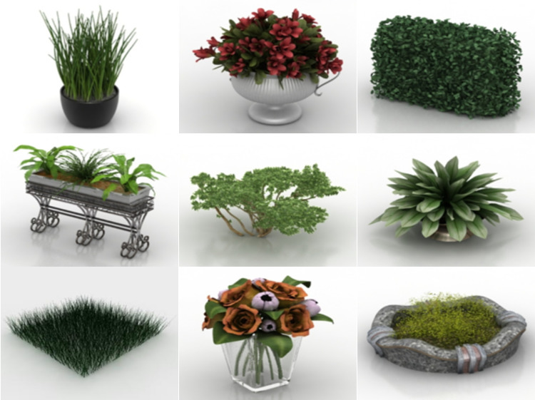 10 3ds Max Plant Tree 3D-modeller - dag 15 oktober 2020