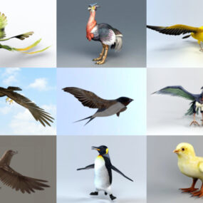 Koleksi 10 Model Haiwan Burung 3D - Minggu 2020-43