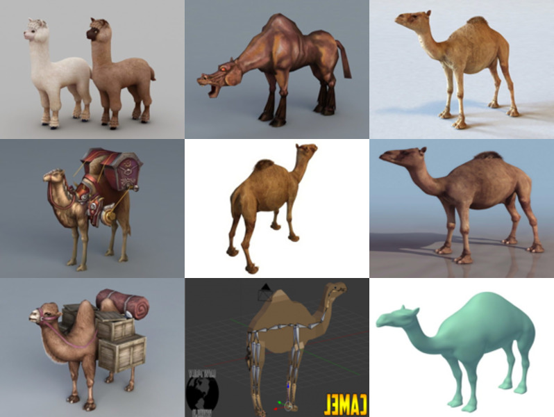 Kolekcja modeli 10D wielbłądów 3 - tydzień 2020-44