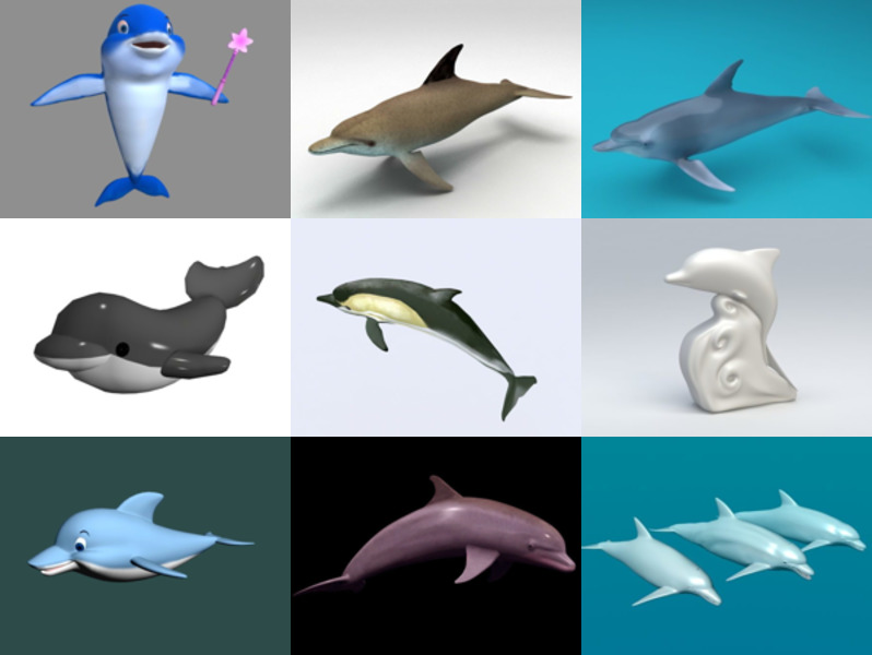 10 Dolfijn 3D-modellencollectie – Week 2020-44