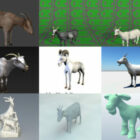 10 Goat Free OBJ 3D Models Collection