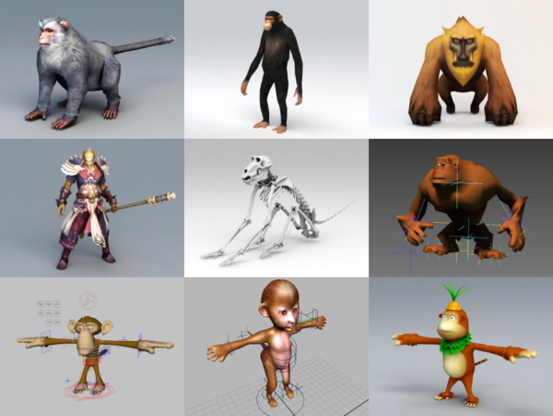 10 modeli małp 3D zwierząt – tydzień 2020–44