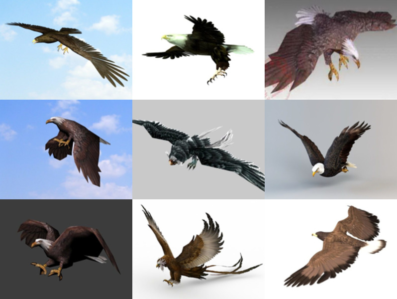 10 Realistic Eagle 3D Models – Week 2020-44