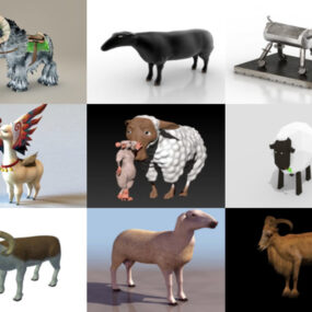 คอลเลกชัน 10 Sheep 3D Models - สัปดาห์ 2020-44