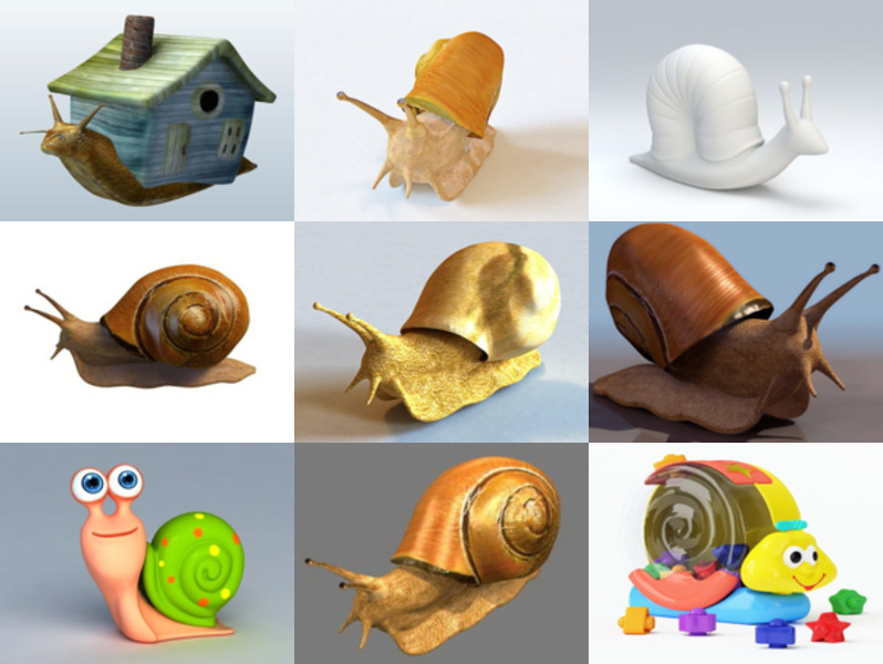 Colección de 10 modelos de caracol 3D - Semana 2020-44