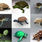 Колекція 10 моделей черепахи 3D - тиждень 2020-44