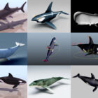 Collezione di 10 modelli 3D di balene - Settimana 2020-44