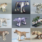 10 White Tiger 무료 3D 모델