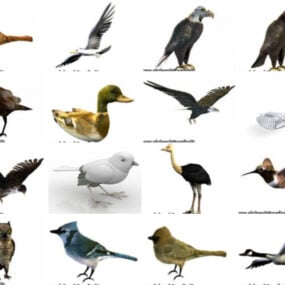 20 Lowpoly 3D modely ptačích zvířat - týden 2020-43