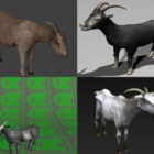 6 modelos 3D de cabra montés Descarga gratuita