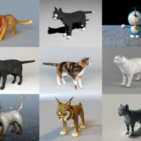 9 Cat Rigged Koleksi Model 3D Percuma