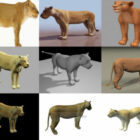 9 Lioness Free 3D Models Collection