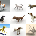 Kollektion 10 Lowpoly Hundfria 3D-modeller – vecka 2020-43