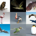 10 parasta lintujen ilmaista 3D-mallia - viikko 2020-41