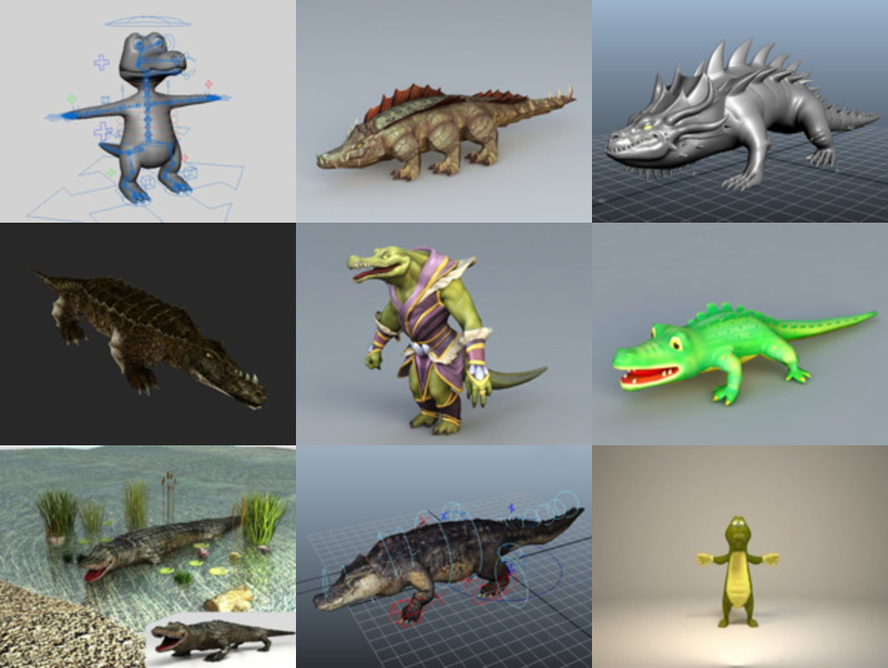 Top 10 krokodil 3D-modellencollectie - Week 2020-44
