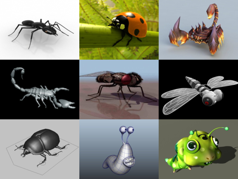 Colección de los 10 mejores modelos de insectos 3D - Semana 2020-44