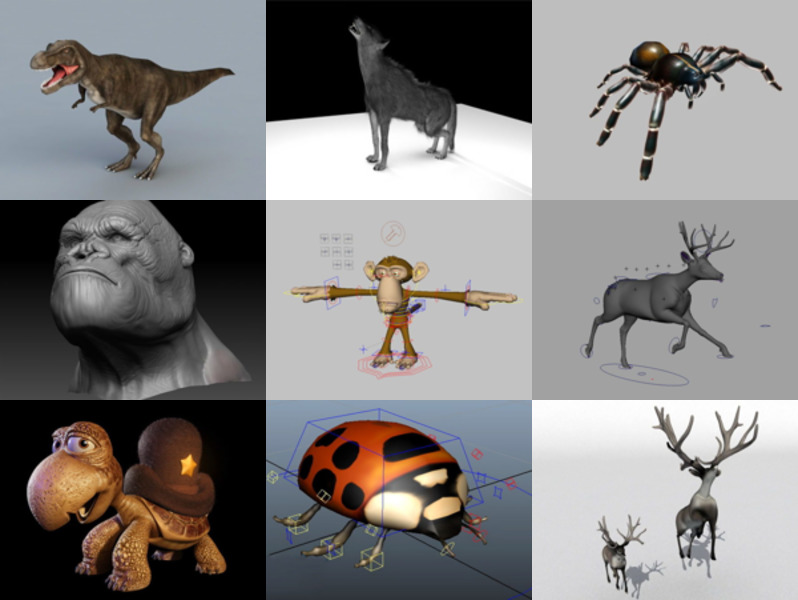 Top 10 Maya Land Animals 3D Models – Day 23 Oct 2020