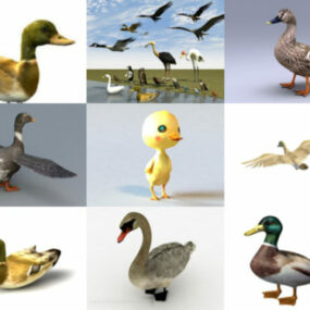 12 parasta eläinankkua ilmaista 3D-mallia