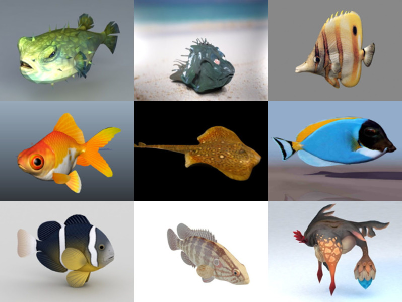 Raccolta dei migliori 12 modelli 3D di pesci - Settimana 2020-44