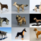 9 лучших реалистичных бесплатных 3D-моделей собак - неделя 2020-43