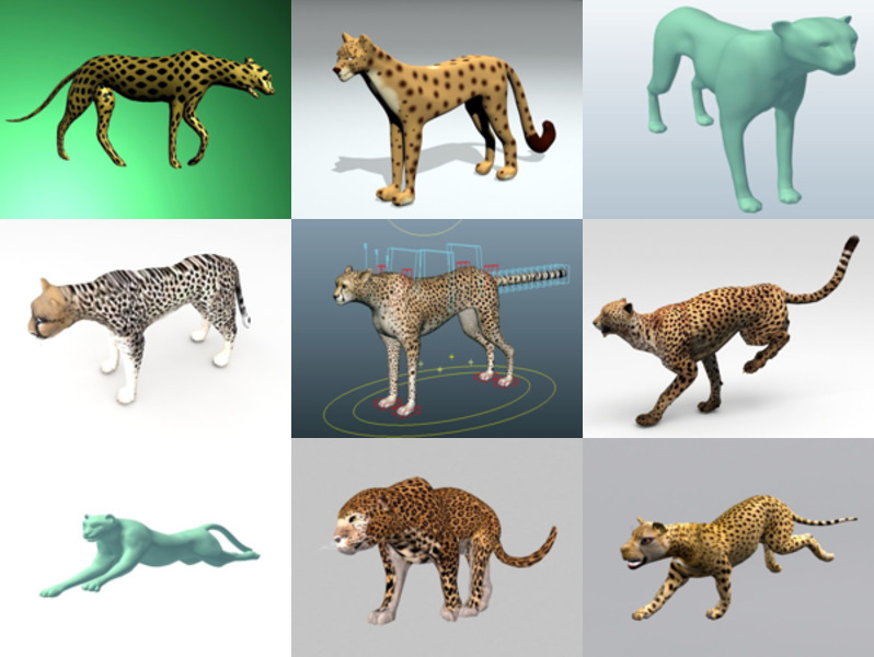 10 gepard gratis 3D-modellsamling
