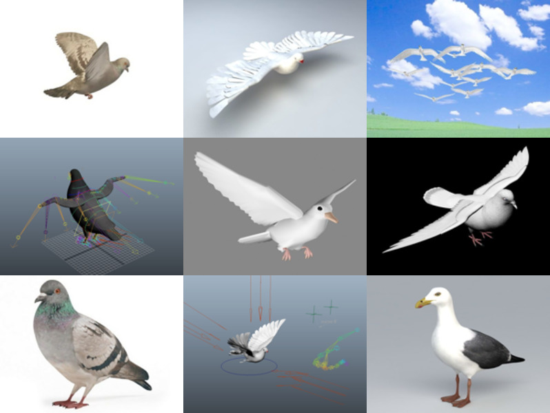 10 realistische duivenvrije 3D-modellencollectie