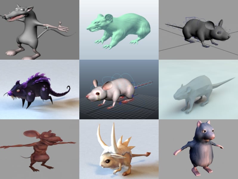 10 Rat Free 3D Modeller Collection