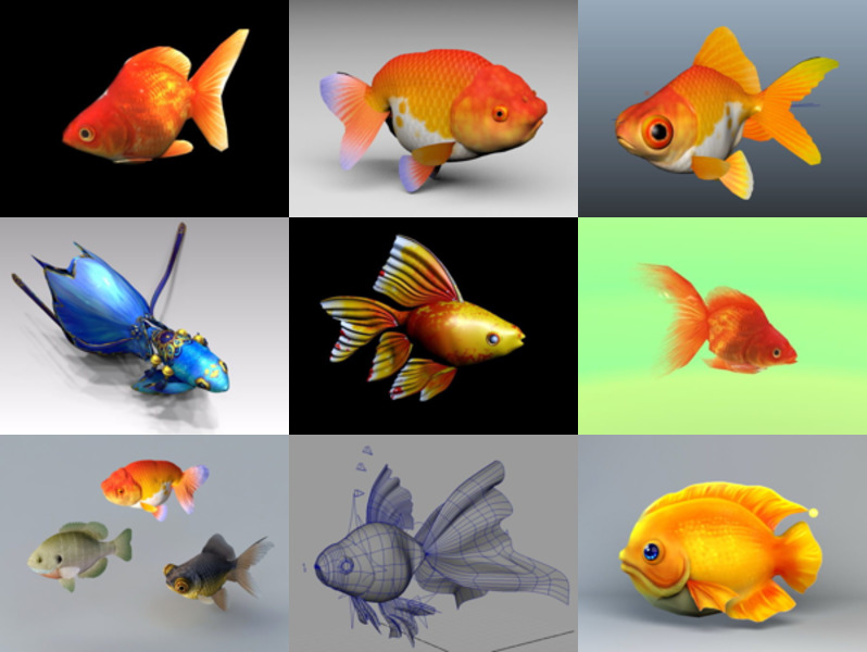 Coleção de 10 modelos 3D Realistic Goldfish grátis