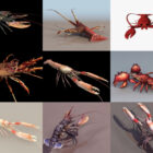 مجموعه حیوانات 10 مدل سه بعدی رایگان خرچنگ