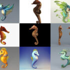 Kolekcja 10 darmowych modeli 3D Seahorse