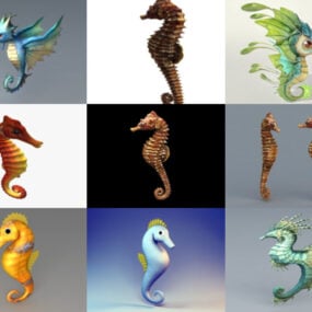 Bộ sưu tập 10 mô hình 3D miễn phí Seahorse