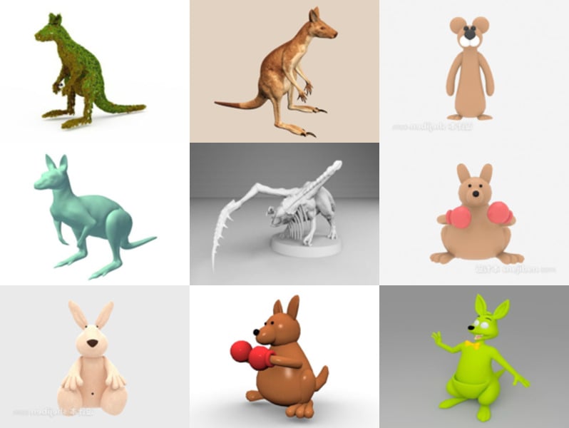 12 Collezione di modelli 3D animali canguro