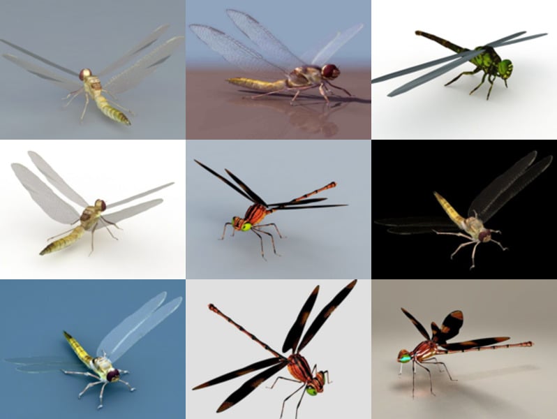 Colección de modelos 9D gratuitos de 3 libélulas realistas