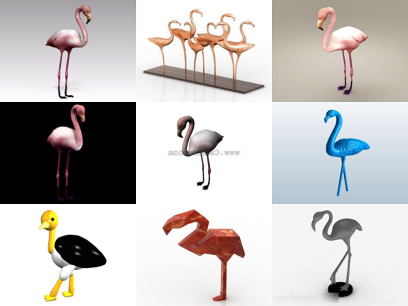 9 Flamingo Gratis 3D-modellencollectie