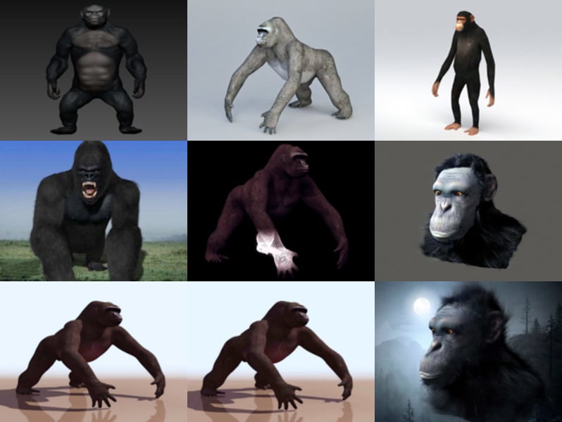 Samling 9 Realistiske Gorilla 3D-modeller