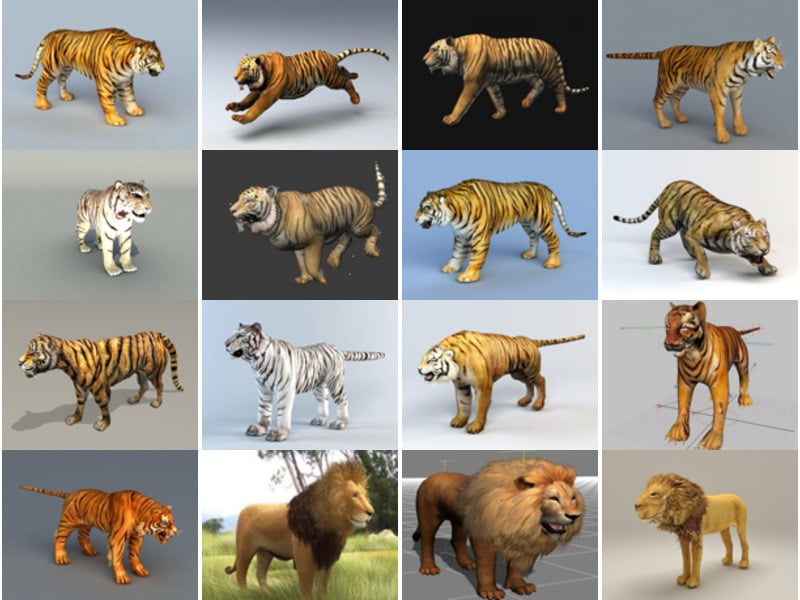 20 نموذجًا ثلاثي الأبعاد مجانيًا للحيوانات الواقعية: نمور آسيا ، أسود أفريقي ، بأسلوب واقعي وتفاصيل عالية